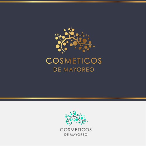 Logo & hosted website contest entry by 2Doo