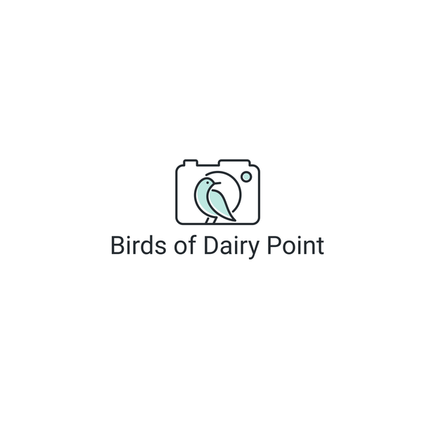 Design by ellistya titled "Bird of Dairy Point"