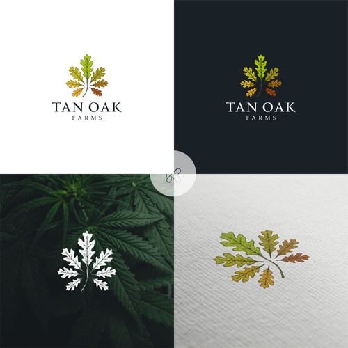 Design a logo for a family run legal cannabis farm! Design réalisé par kerman