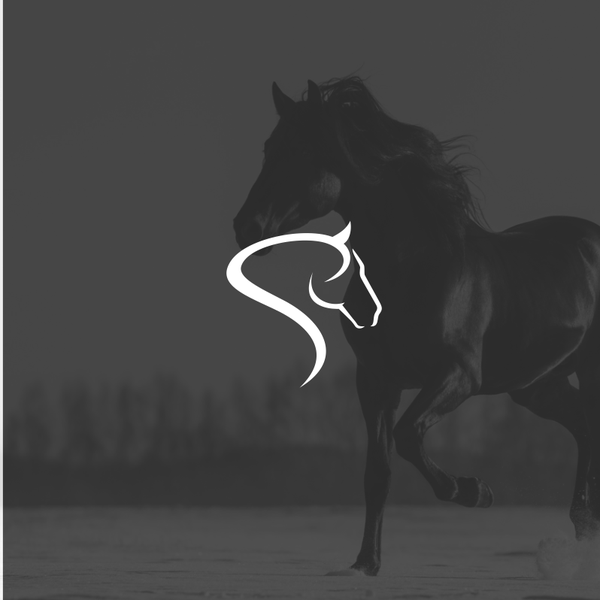 Ontwerp door Edw!n™ genaamd "Simple logo design for equine "
