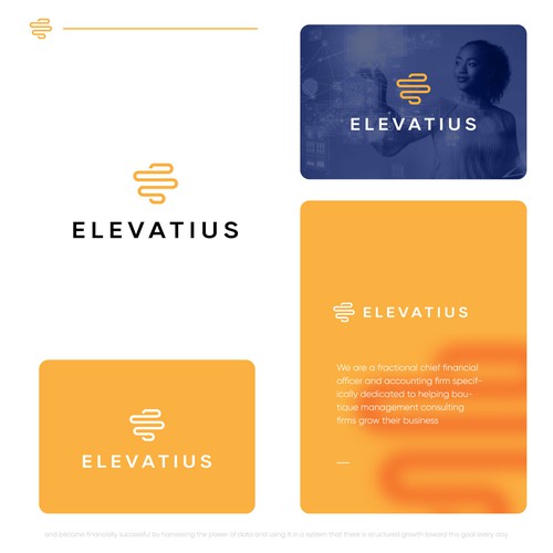 Design a top lead generating logo for a Fractional CFO firm focused on management consultants Design by Nine™