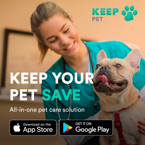 All in 2024 one pet solutions