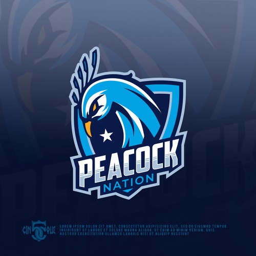 Basketball Logo for Peacock Nation - Your Winning Logo Featured on Major Sports Network Réalisé par Cinque❞