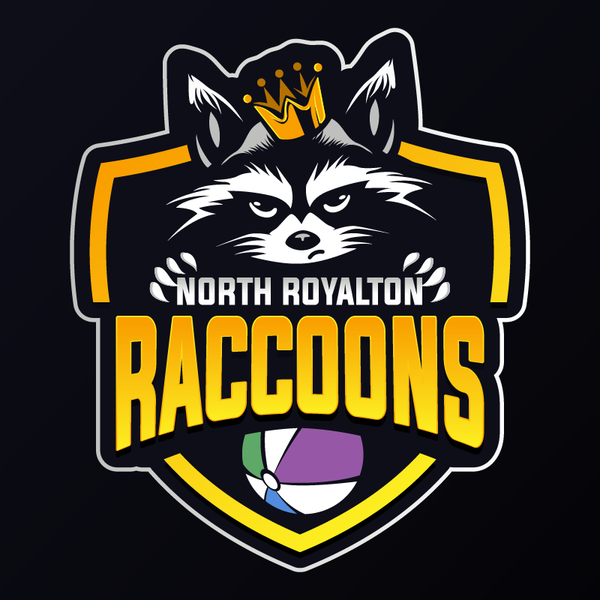 Design by DAV091 titled "Raccoons"