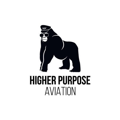 Higher Purpose Aviation Design by Philip4:13