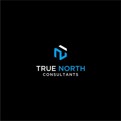 True North Consultants Design by karahayon