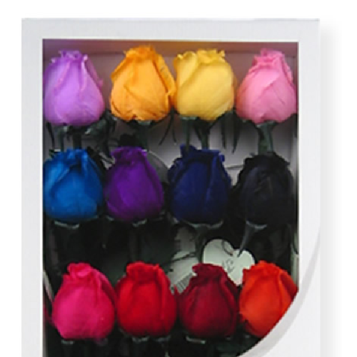 Logo design contest entry by H∆DI