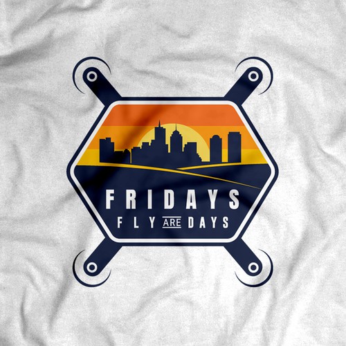 Create a powerful logo for a Drone Pilot