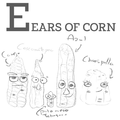 ABC’s of Corn Design by Marynad.art