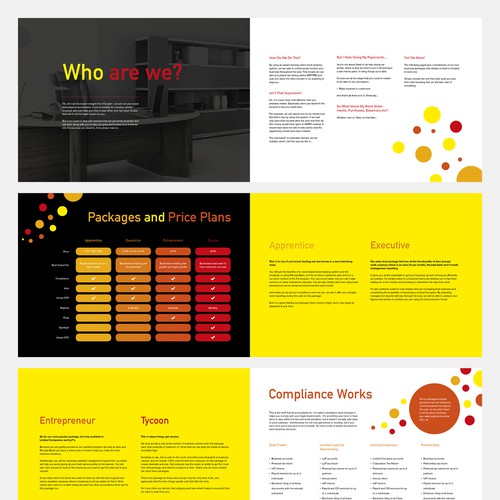 Design an amazing e-brochure for a not-so-typical accountancy firm! Design by Shwin