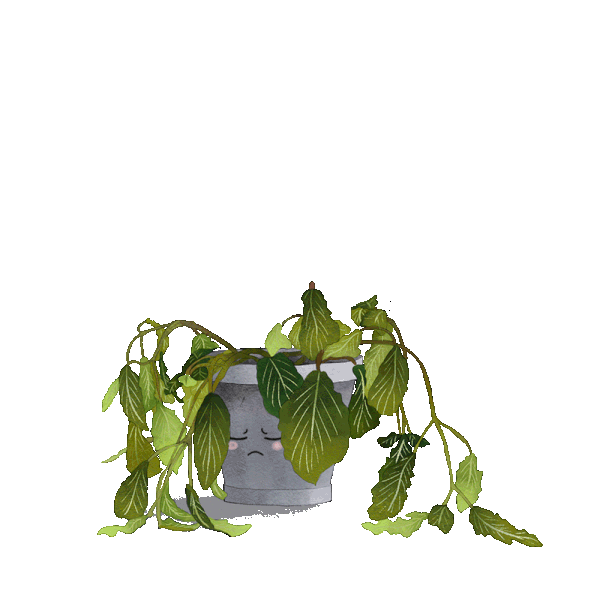 Recovering plant gif