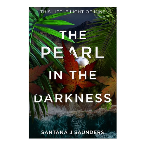 Book cover contest entry by bravoboy