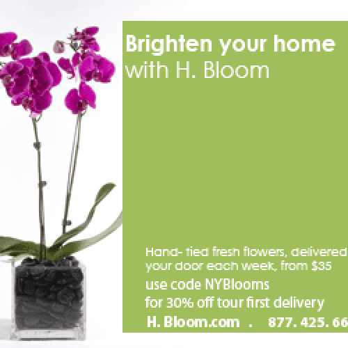Designs | H.BLOOM Display Campaign | Banner ad contest