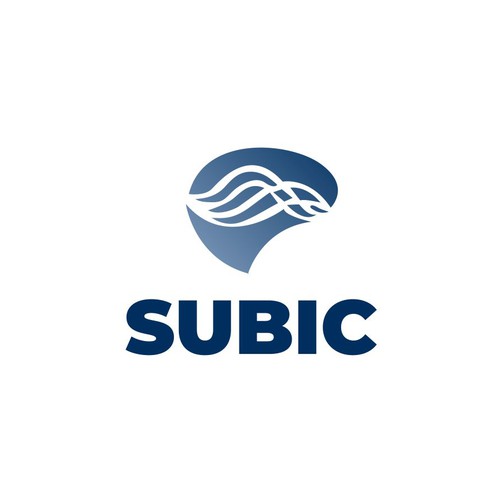 SUBIC - Brain imaging centre Design by LogoBuzz