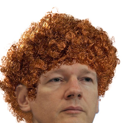 Design the next great hair style for Julian Assange (Wikileaks) Réalisé par ceciliap