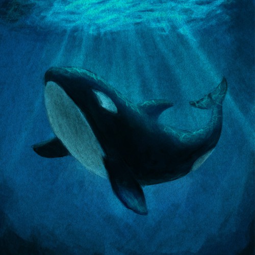 Orca - Also known as the Killer Whale Design by theMix