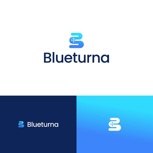 Blueterna Branding contest Design by Yantoagri