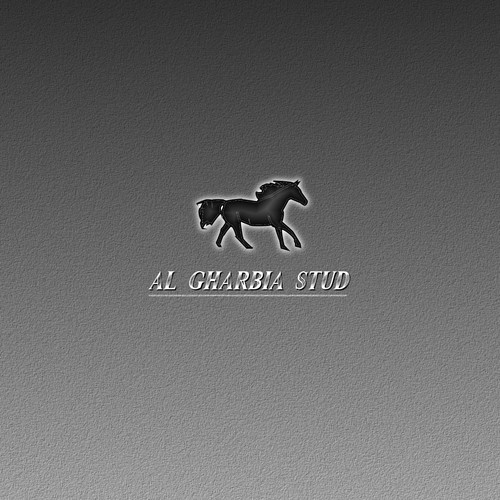 Arabian Horse LOGO Diseño de doubahjones