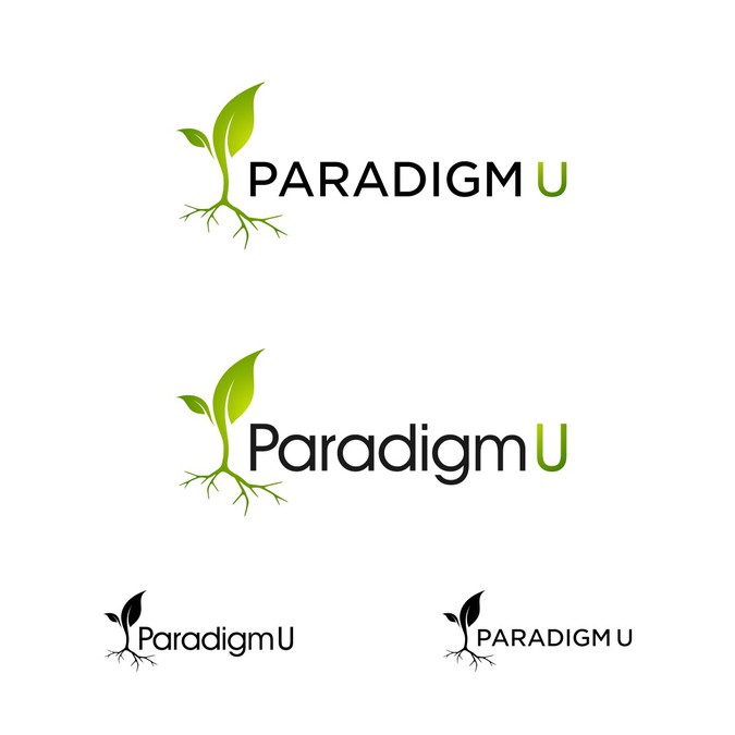 what-does-paradigm-mean-to-you-iso-authentic-logo-to-evoke-curiosity