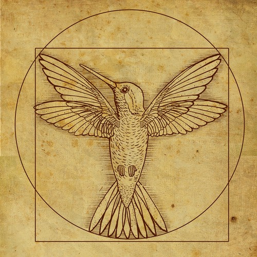 Design di Leonardo da Vinci - Hummingbird Drawing di lofosparalogos