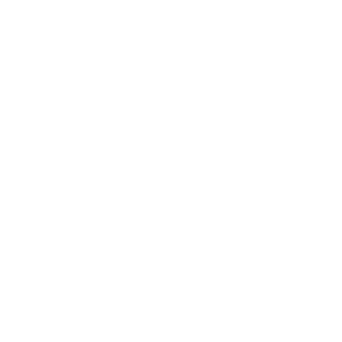 RWN Full Logo White with tagline.png