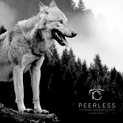 Need a stylish professional logo Design by reflect the style