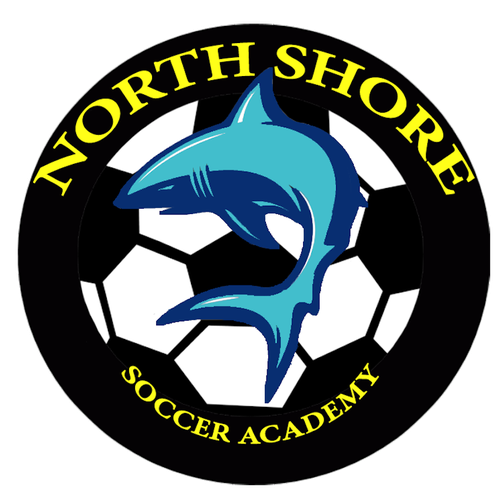 Soccer School logo (mainly the company name needed in logo) Logo