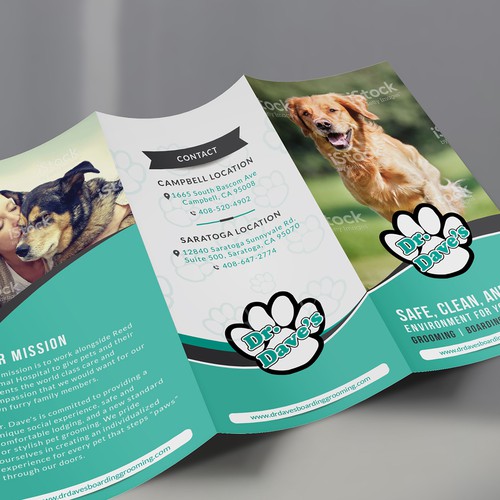 Doggy Daycare Needs a Fun Brochure | Brochure contest