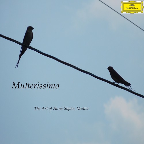 Illustrate the cover for Anne Sophie Mutter’s new album デザイン by pikkuuikku