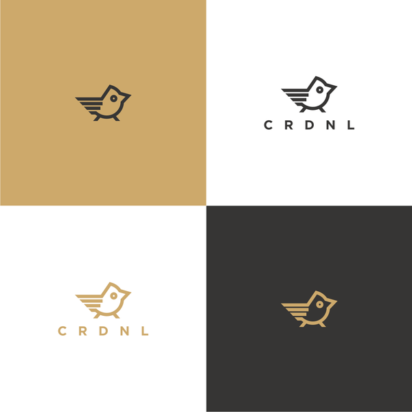 Design realizzato da kolang-kaling intitolato "Music and Visual Creatives need you to help us "fly high" - CRDNL"