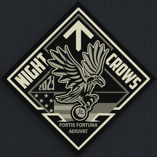 NIGHT CROWS - Military Special Operations Unit Logo design contest - GER/US Design by Sasha Løft