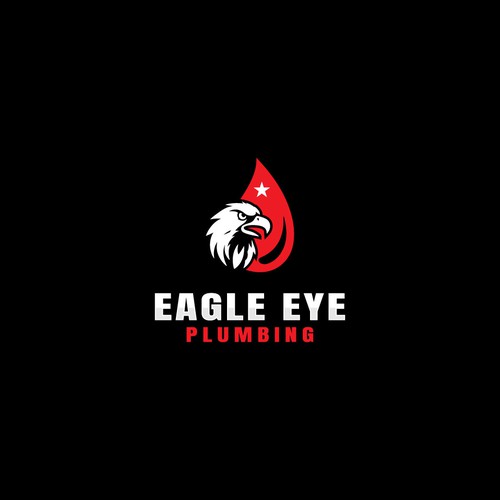 Eye catching and very marketable logo for plumbing company. The company name is Eagle Eye Plumbing Design by JakirVector