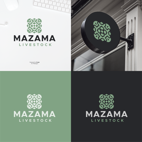 MAZAMA Design by casign