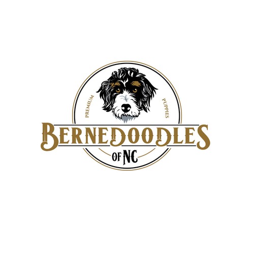 Bernedoodle dog logo capturing beauty & whimsical fun of the breed Design by F.canarin