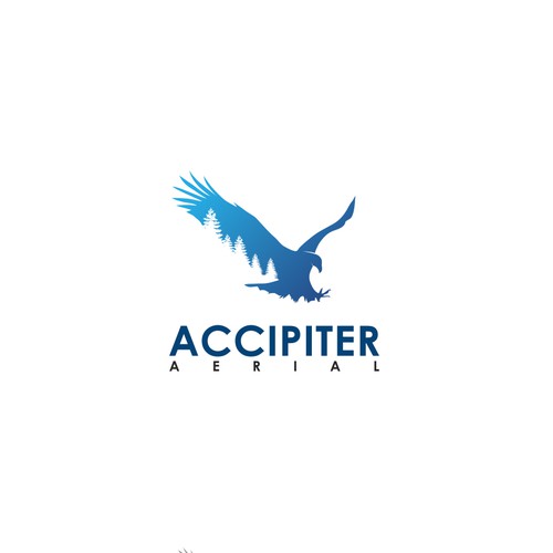 Create a logo for drone imaging company Logo design contest