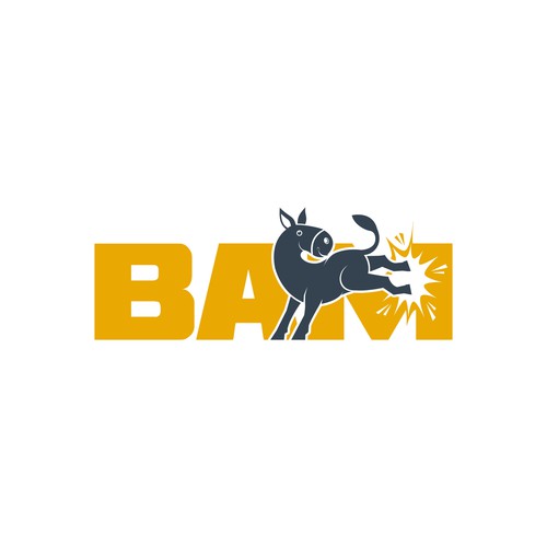 BAM *updated 6/12 read brief Design by Dendir