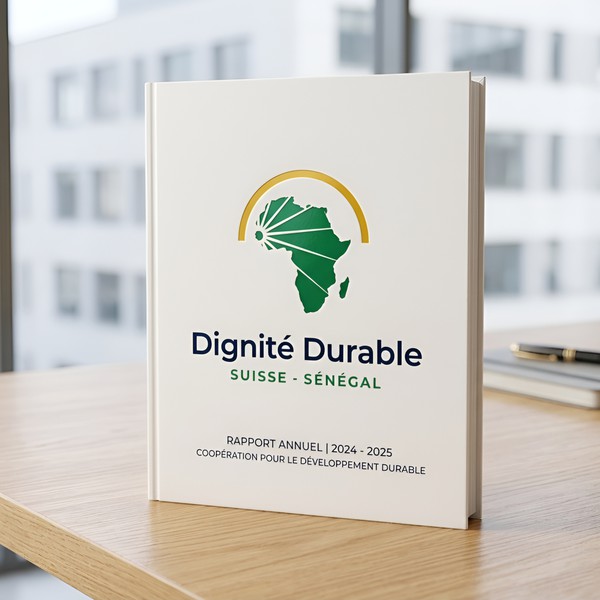 Dignité Durable: Bridging Swiss Precision and African Progress