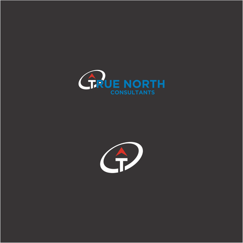 True North Consultants Design by karahayon