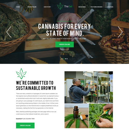 The Set dispensary Website Design Design by Obizzy
