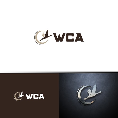 Logo for a Safe and Modern Aircraft rental company Design by ybur10