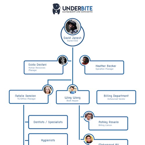 Organizational Chart for Dental Group Design by Noah E.