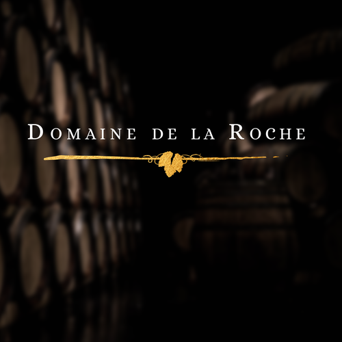  contest entry by Lizzy DS