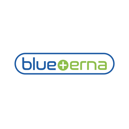 Blueterna Branding contest Design by Voos Studio