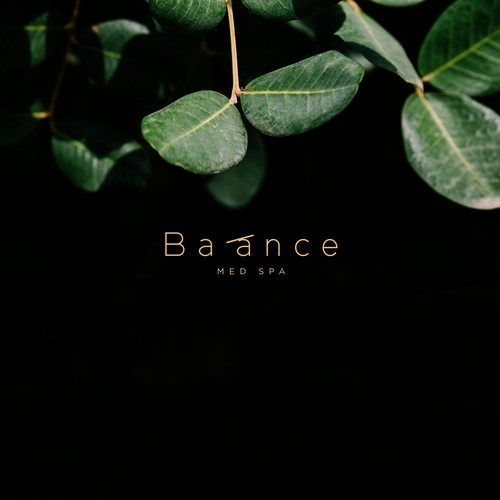 Balance logo Design by WebSky☁️