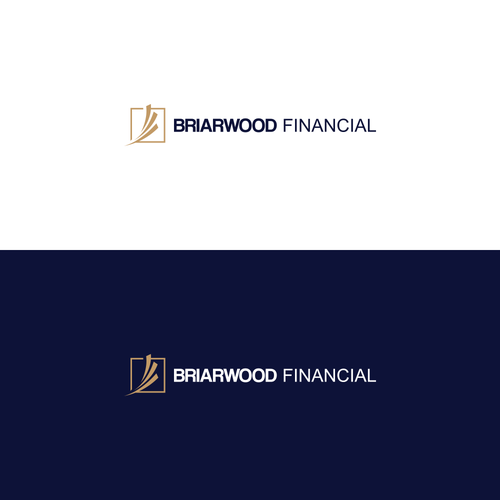 Financial Services Firm Needs New Modern, Professional, Logo to Appeal to Affluent Business Owners Design by Tendangmenang