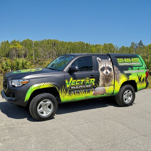  contest entry by MeetanshiInc