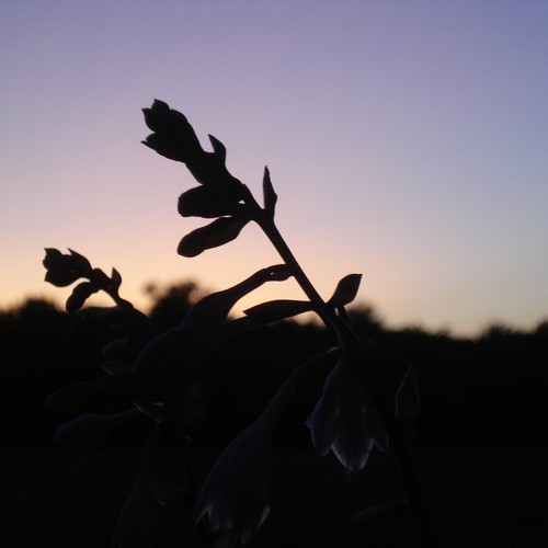 Design Rick Warren's New Book Cover Design by kdosh11