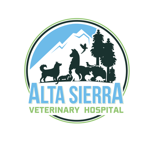 Mountain town veterinarian needs a new look! Réalisé par ©ZHIO™️ ☑️