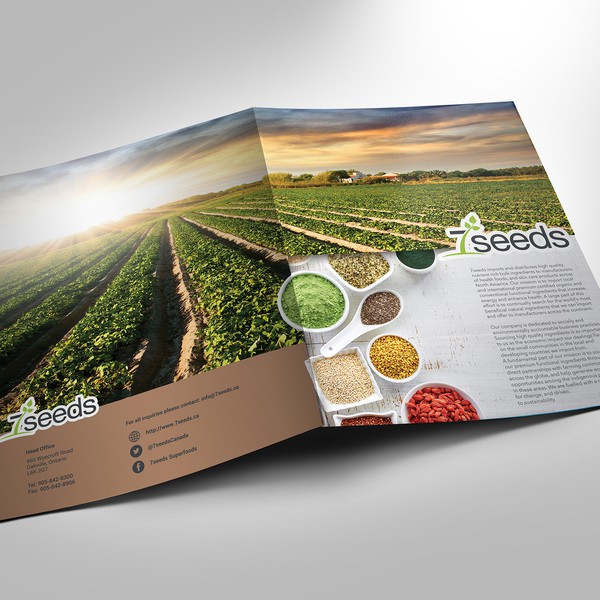 Design by 100% creatividad titled "7 sededs brochure"