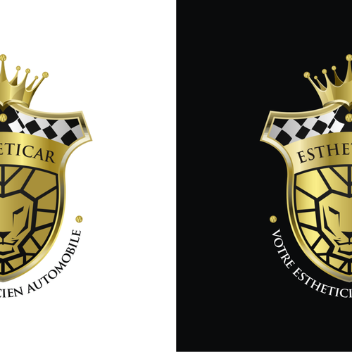 Créér un logo qui représente l'esthétique de la voiture. Design by Kaleya